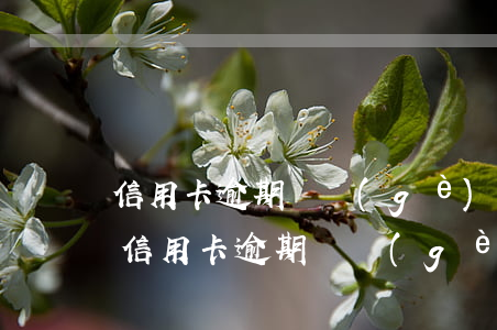 信用卡逾期兩個(gè)月零七天怎么算-信用卡 逾期兩個(gè)月