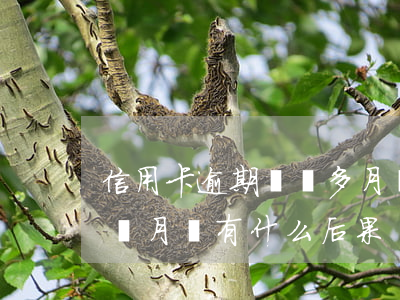 信用卡逾期兩個多月會起訴嗎(信用卡逾期兩個月會有什么后果)