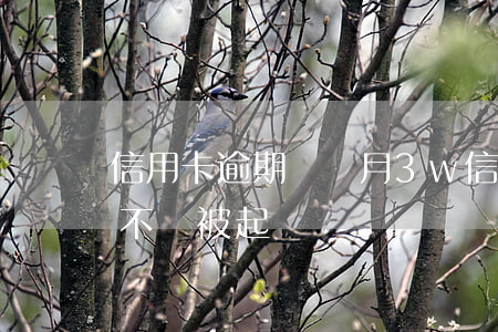 信用卡逾期兩個月3w(信用卡逾期兩個月會不會被起訴)
