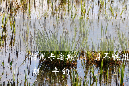 信用卡逾期兩個月不能用了(有沒有信用卡逾期兩年的)