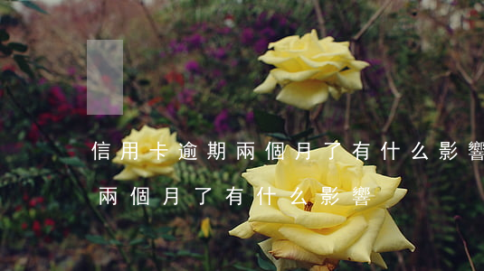 信用卡逾期兩個月了有什么影響（信用卡逾期兩個月了有什么影響）