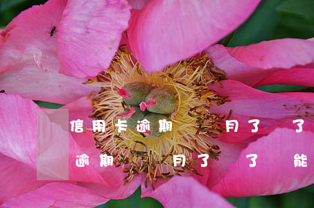 信用卡逾期兩個月了還了還能用嗎-信用卡逾期兩個月了還了還能用嗎有影響嗎