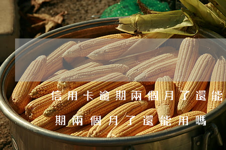 信用卡逾期兩個月了還能用嗎貼吧（信用卡逾期兩個月了還能用嗎）
