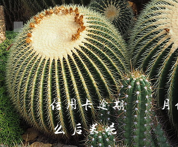 信用卡 逾期兩個月（信用卡逾期兩個月會有什么后果呢）