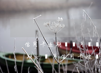 信用卡逾期兩個月凍結(jié)怎么辦(逾期一個月信用卡被凍結(jié))