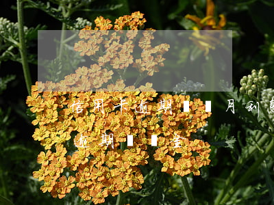 信用卡逾期兩個月利息和違約金(逾期利息和逾期違約金)