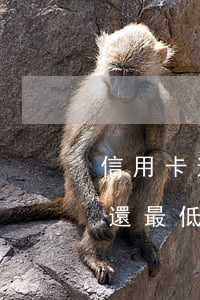 信用卡逾期兩個月只還了最低(逾期兩天還能還最低嗎)
