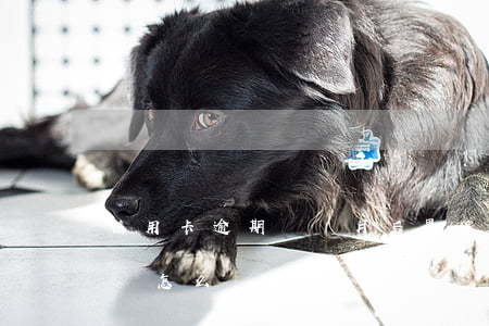 信用卡逾期兩個月后果(信用卡逾期一兩個月會怎么樣)