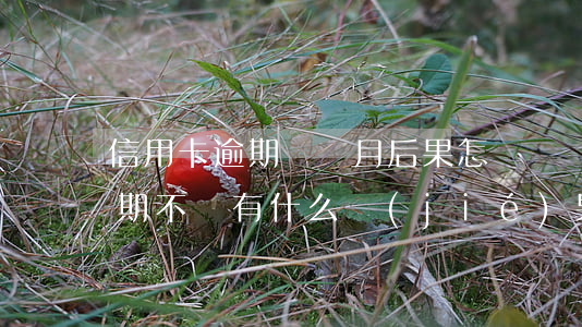 信用卡逾期兩個月后果怎樣(兩個月信用卡逾期不還有什么結(jié)果)