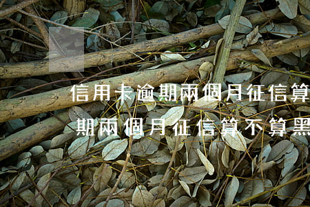 信用卡逾期兩個月征信算不算黑-信用卡逾期兩個月征信算不算黑戶了