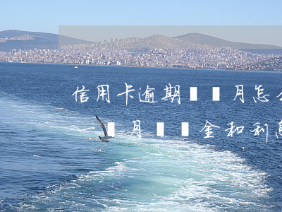 信用卡逾期兩個月怎么收費(信用卡2萬逾期一個月違約金和利息是多少?)