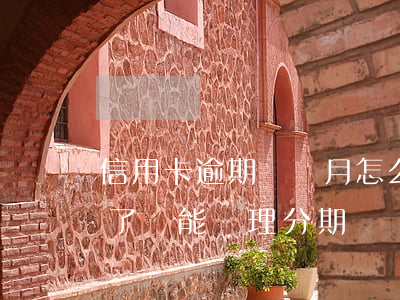 信用卡逾期兩個月怎么辦理分期(信用卡逾期了還能辦理分期嗎)