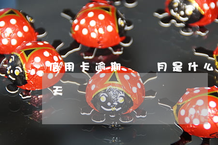 信用卡逾期兩個月是什么后果(信用卡 逾期 兩天)