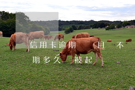 信用卡逾期兩個月會不會起訴(信用卡2萬逾期多久會被起訴)