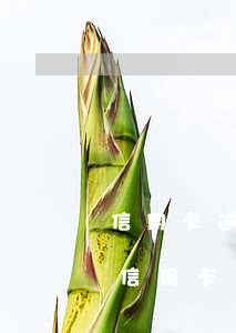 信用卡逾期兩個月會怎么樣可以分期還嗎-信用卡逾期兩個月會怎么樣可以分期還嗎