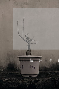 信用卡逾期兩個月會被被起訴嗎
