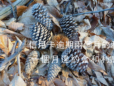 信用卡逾期兩個月的利息-信用卡2萬逾期一個月違約金和利息是多少?