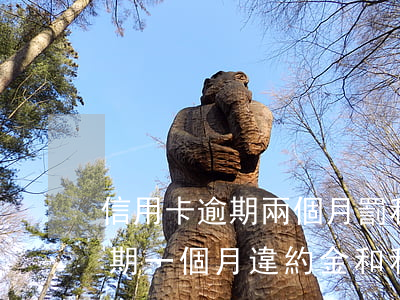 信用卡逾期兩個月罰利息多少(信用卡2萬逾期一個月違約金和利息是多少?)