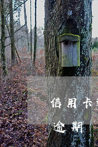 信用卡逾期兩個月被起訴會怎么樣-信用卡逾期兩個月被起訴會怎么樣嗎