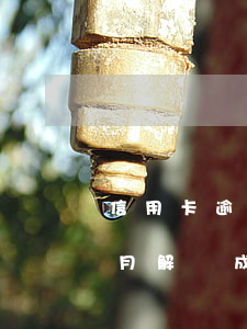 信用卡逾期兩個月解凍成功(信用卡逾期兩個月解凍成功)