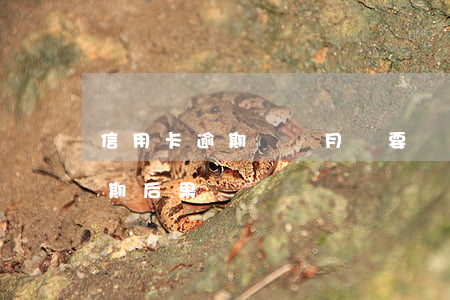 信用卡逾期兩個月說要訴訟(信用卡2個月逾期后果)