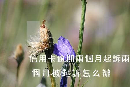 信用卡逾期兩個月起訴 兩萬多信用卡逾期三個月被起訴怎么辦