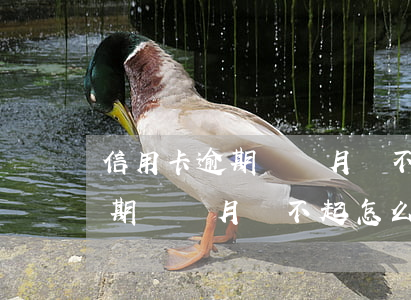 信用卡逾期兩個月還不起怎么辦-信用卡逾期兩個月還不起怎么辦