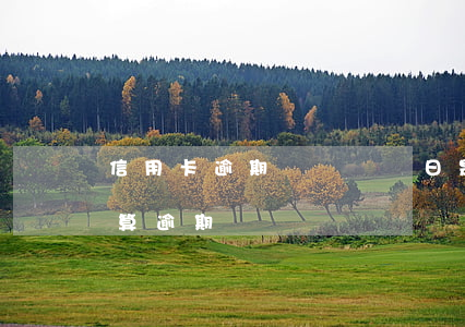 信用卡逾期兩個賬單日是多少天(信用卡2天算逾期嗎)