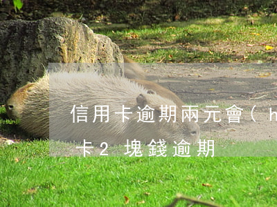 信用卡逾期兩元會(huì)有影響嗎(信用卡2塊錢逾期)