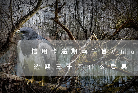 信用卡逾期兩千會(huì)怎么樣(信用卡逾期三千有什么后果)