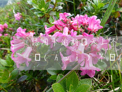 信用卡逾期兩天上不上征信(銀行卡逾期兩天會(huì)不會(huì)上征信)