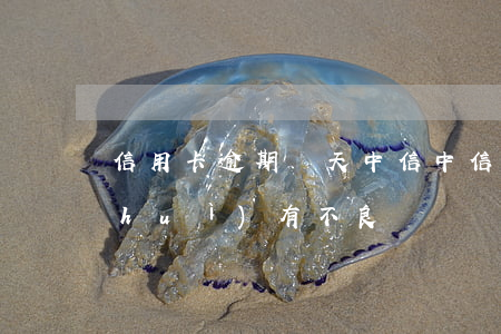 信用卡逾期兩天 中信 中信用卡逾期一天會(huì)有不良記錄嗎