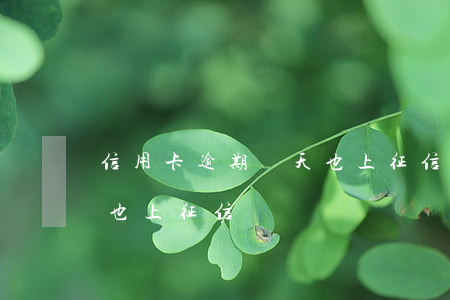 信用卡逾期兩天也上征信嗎 信用卡逾期兩天也上征信嗎