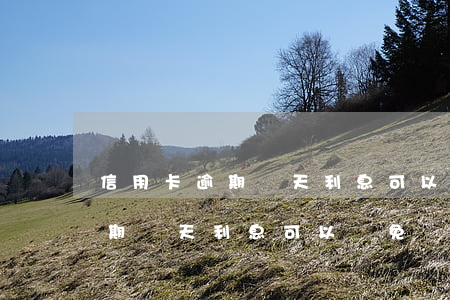 信用卡逾期兩天利息可以減免嗎-信用卡逾期兩天利息可以減免嗎多少錢