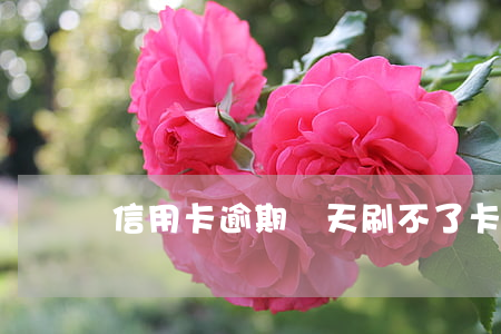 信用卡逾期兩天刷不了卡