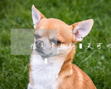 信用卡逾期兩天可以(信用卡逾期兩天可以貸款嗎)
