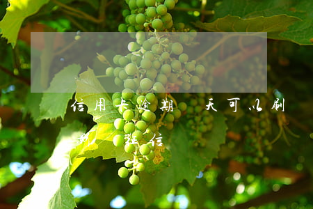 信用卡逾期兩天可以刷嗎(還信用卡逾期三天影響征信嗎)