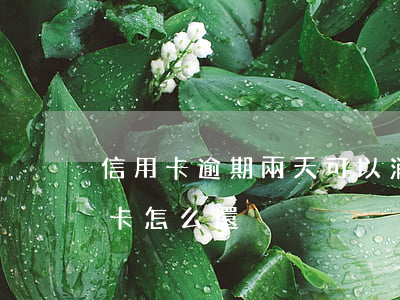 信用卡逾期兩天可以消除嗎(逾期兩年的信用卡怎么還)