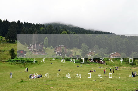 信用卡逾期兩天可以申請減免嗎(2020年信用卡逾期減免標(biāo)準(zhǔn))