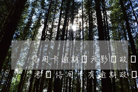 信用卡逾期兩天影響政審嗎(公務(wù)員考試信用卡有逾期政審能通過嗎)