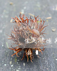 信用卡逾期兩天怎么消除(信用卡逾期兩天怎么辦)