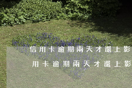 信用卡逾期兩天才還上影響信用記錄嗎-信用卡逾期兩天才還上影響信用記錄嗎