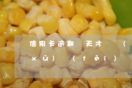 信用卡逾期兩天才還會(huì)扣手續(xù)費(fèi)嗎-信用卡逾期兩天才還會(huì)扣手續(xù)費(fèi)嗎怎么辦