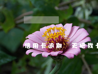 信用卡逾期兩天把我卡凍結(jié)了