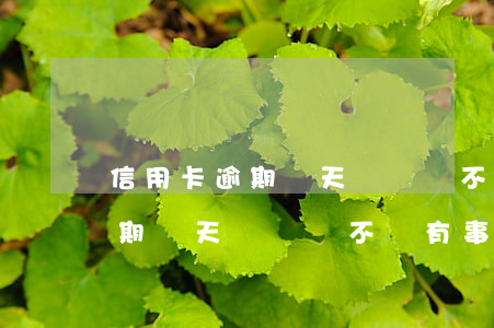 信用卡逾期兩天時間會不會有事-信用卡逾期兩天時間會不會有事情發(fā)生