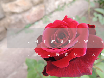 信用卡逾期兩天會(huì)上報(bào)征信嗎(逾期一天會(huì)不會(huì)上報(bào)征信)