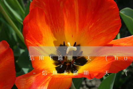 信用卡逾期兩天會(huì)影響辦貸款嗎-信用卡逾期兩天會(huì)影響辦貸款嗎知乎
