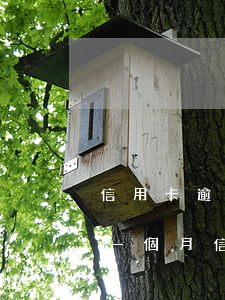 信用卡逾期兩天會凍結(jié)嗎-逾期一個月信用卡被凍結(jié)