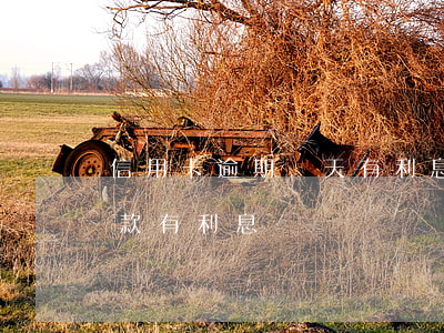信用卡逾期兩天有利息嗎(信用卡逾期三天還款有利息嗎)