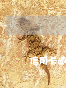 信用卡逾期兩天有影響嗎6